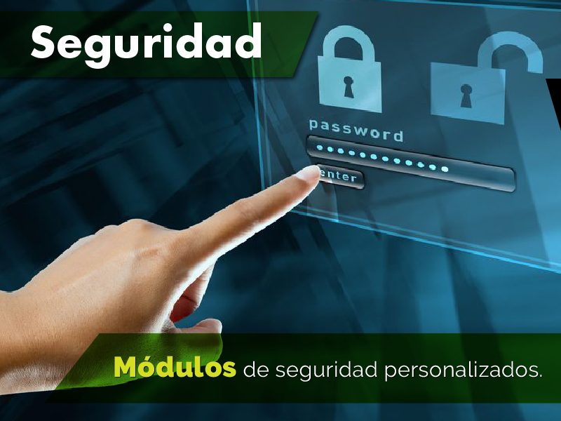 Seguridad